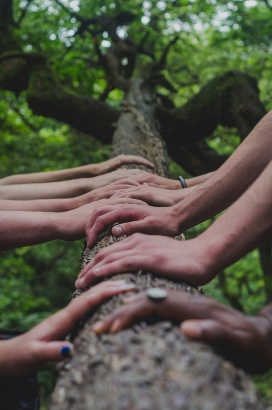 FamilySearch vs Ancestry: Which Is Best for Beginners?